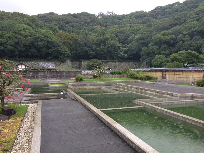 Water pool building foundation layout - you can see the castle in the background.