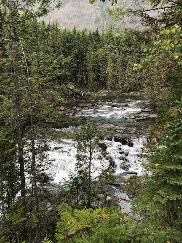 Stream leading into Lake McDonald