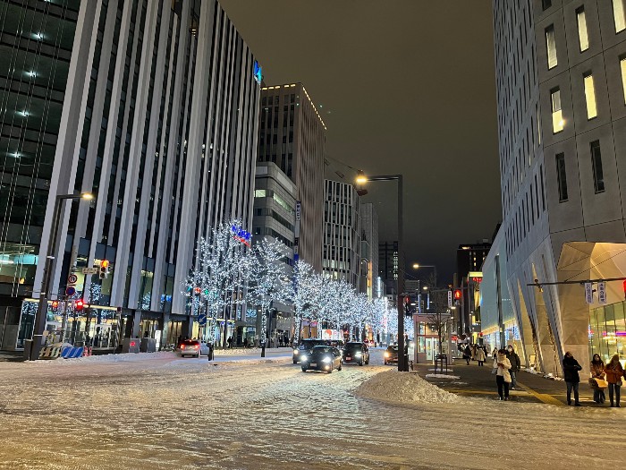 Sapporo on a snowy night