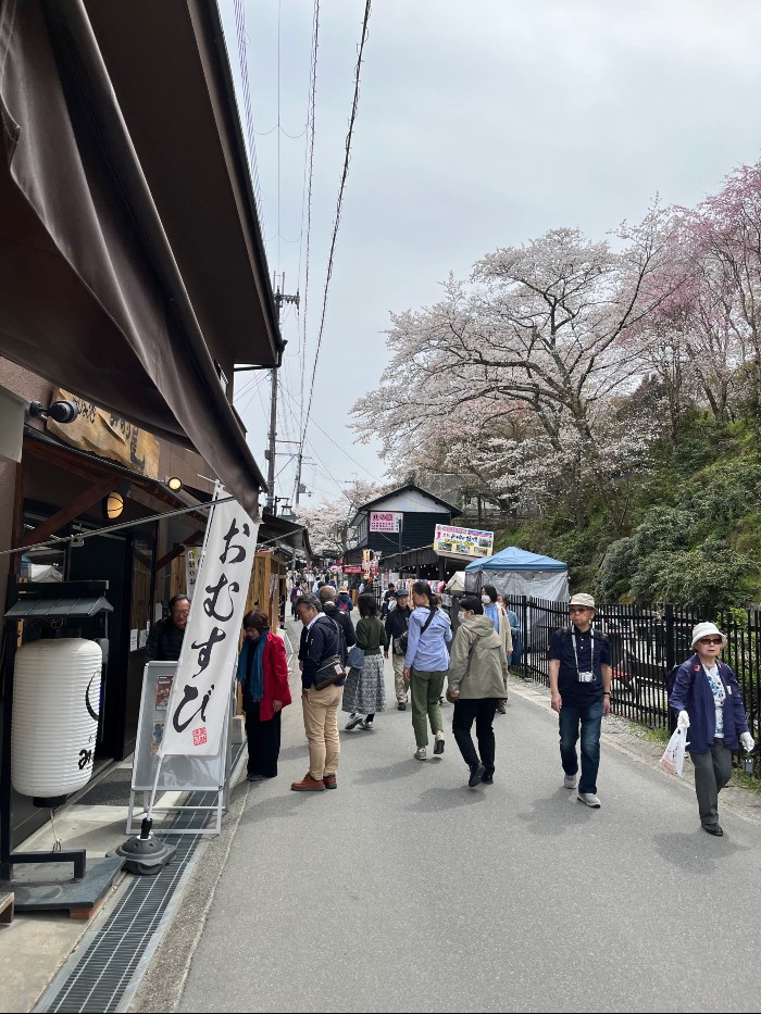The crowded Nanamagari Street to cherry blossom heaven