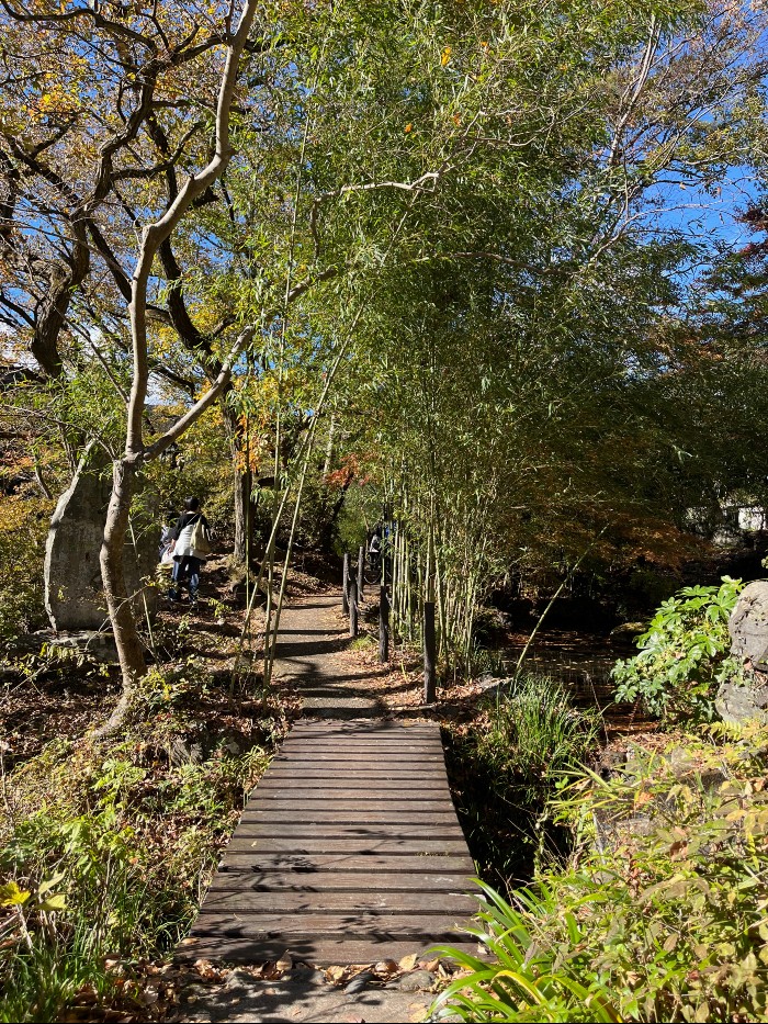 The path to Mitake