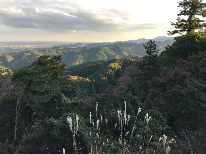 A Day Trip to Mount Takao in Western Tokyo Is a Breath of Fresh Air