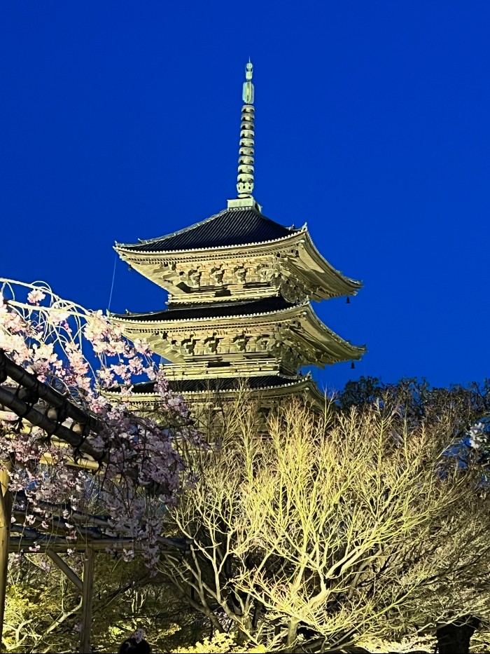 After dark, the pagoda is indeed stunning.