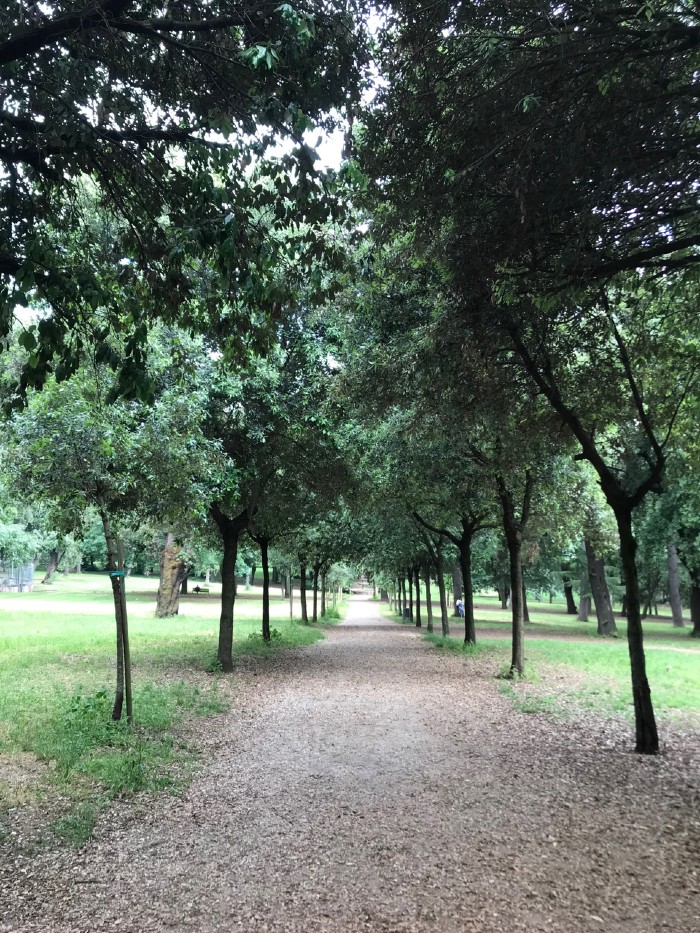 Walking the lovely paths on a rainy day