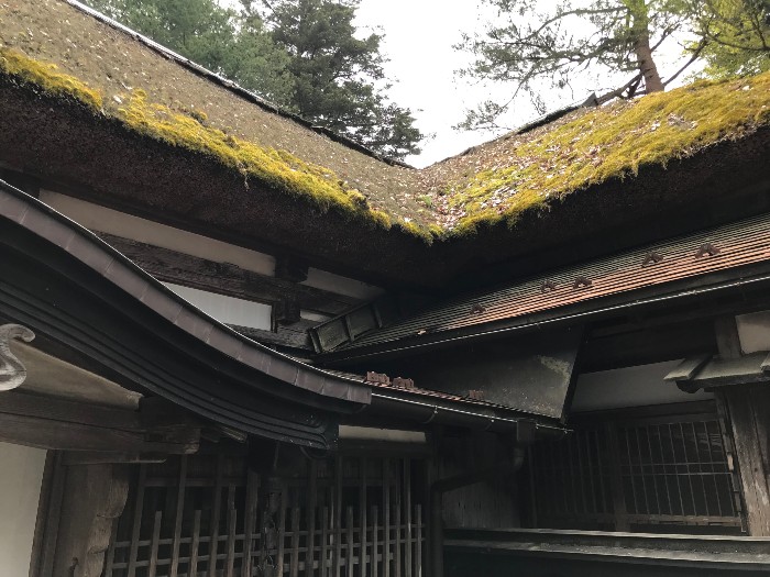 Moss covered roof on one of the old Samurai houses